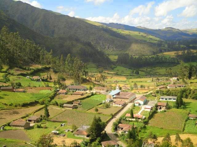 Galería 10